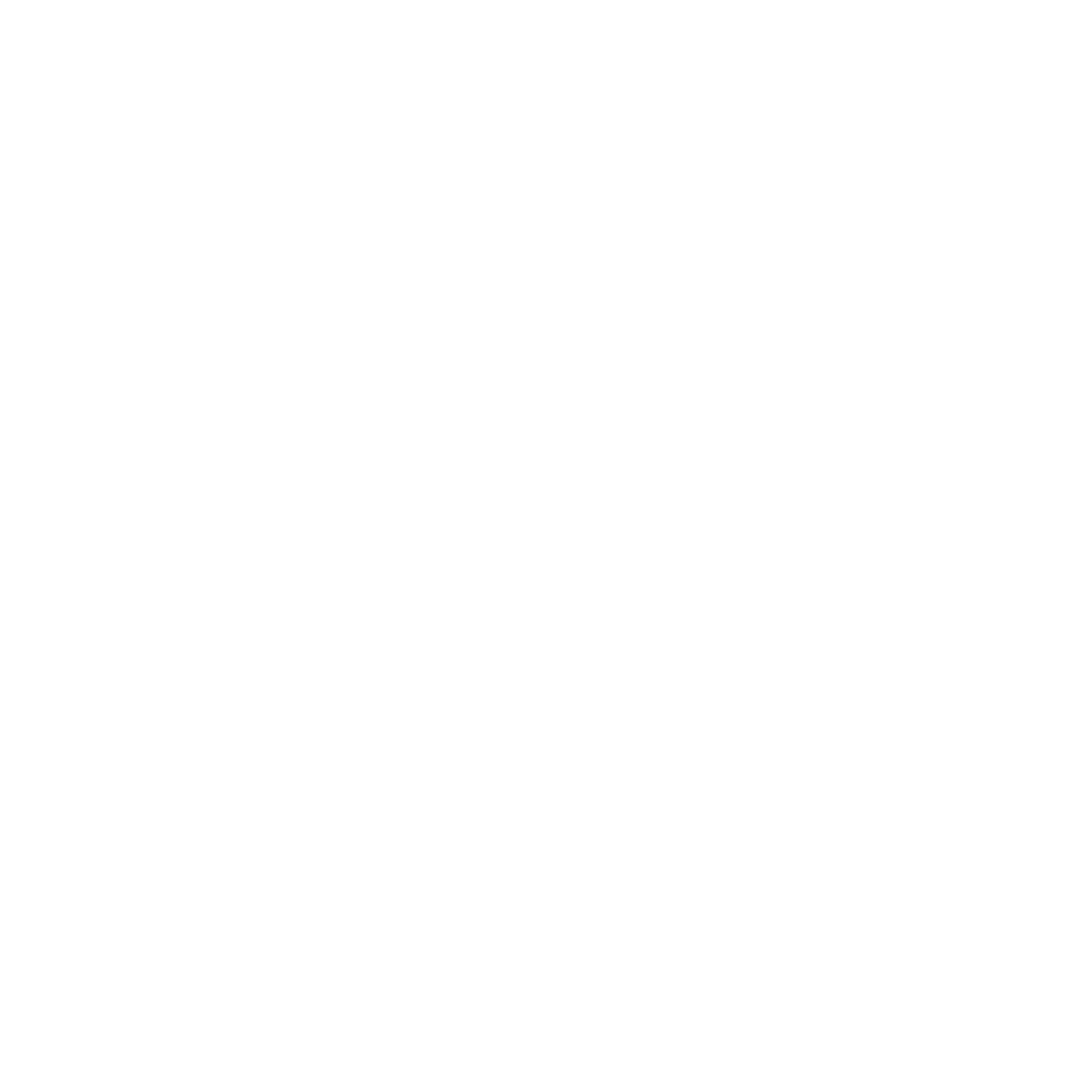 STS 404 Logo